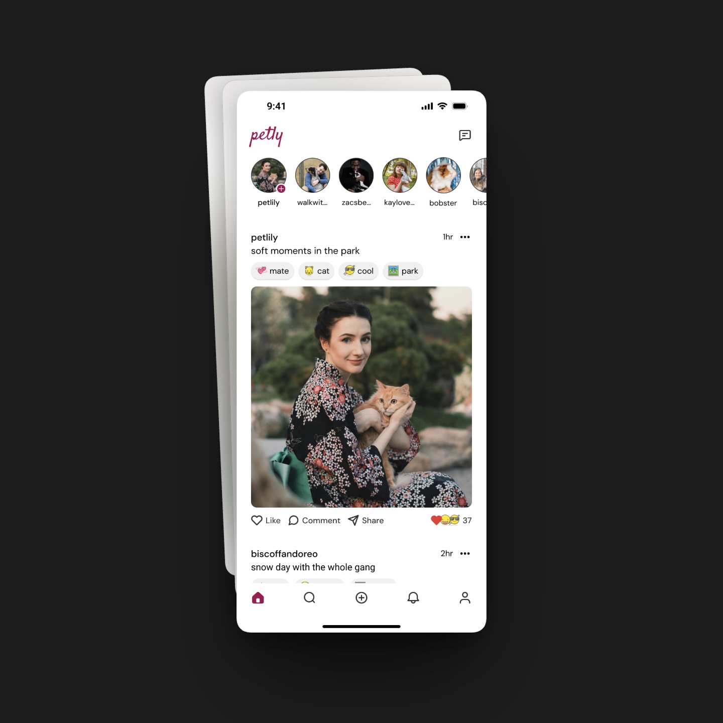 Petly pet social media app