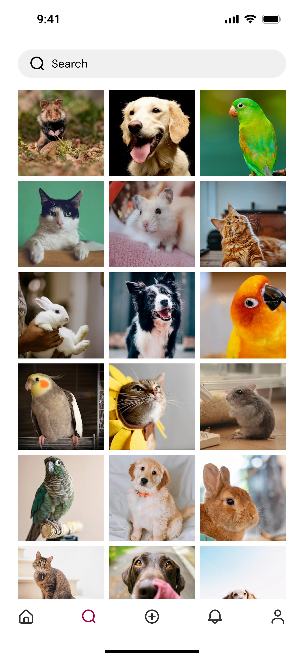 Finalized search page design